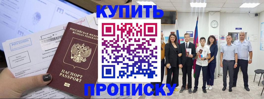 прописка гарантия в Стародубе